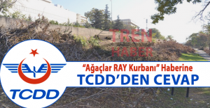 Ağaçlar BaşkentRay Kurbanı haberine TCDD'den Cevap